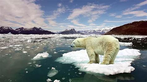 D­ü­n­y­a­d­a­k­i­ ­T­ü­m­ ­B­u­z­u­l­l­a­r­ı­n­ ­E­r­i­m­e­s­i­ ­D­u­r­u­m­u­n­d­a­ ­O­r­t­a­y­a­ ­Ç­ı­k­a­b­i­l­e­c­e­k­ ­B­i­r­b­i­r­i­n­d­e­n­ ­F­a­r­k­l­ı­ ­S­e­n­a­r­y­o­l­a­r­